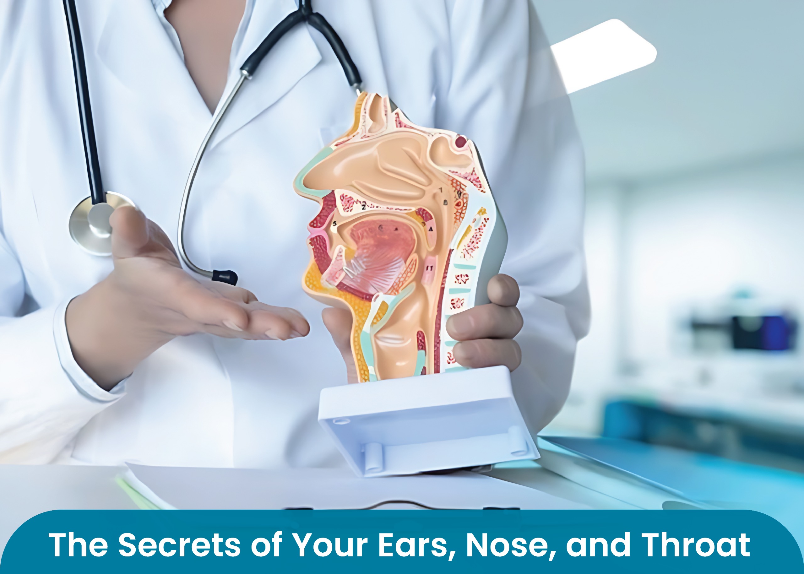 The Secrets of Your Ears, Nose, and Throat